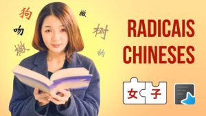 Radicais chineses